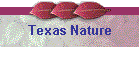 Texas Nature
