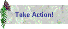 Take Action!